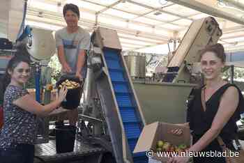 Sapsappel van Jan en Erika perst op eerste dag al meer dan ton appels