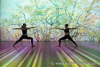 Things to Do in Calgary During the September Long Weekend - Avenue Calgary