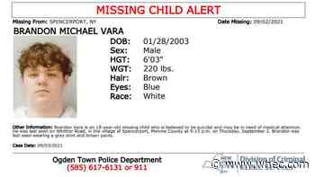 Ogden Police searching for missing man