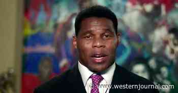 Trump Offers 'Total Endorsement' of NFL Great Herschel Walker for Georgia US Senate Seat