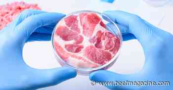 Labeling of cell-based meat on front burner