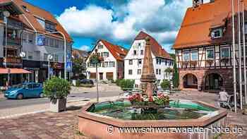 Unter den Schnellen: Stadt Haiterbach kann bald Eröffnungsbilanz verabschieden