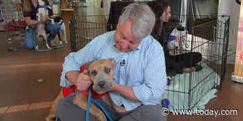 Animal shelters nationwide are helping save pets after Hurricane Ida