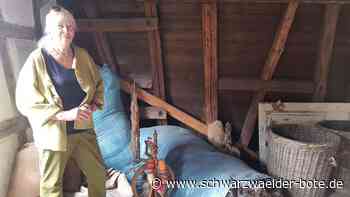 Calwer Verein fürchtet um Zukunft: Einblicke in "endliches Museum"