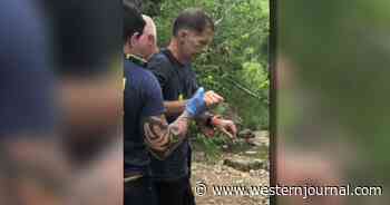 Hiker Thinks He's Brushing Yellow Jackets off Feet, Looks Down to See 'Very Large Copperhead'