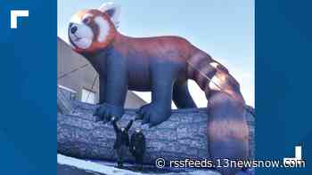 Virginia Zoo to launch new additions to winter display in November