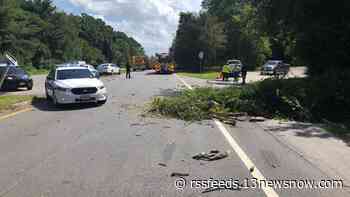 Man injured in Suffolk crash after tree branch falls on vehicle