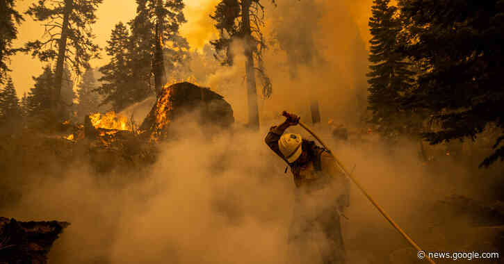 There’s growing hope the Caldor fire won’t reach Lake Tahoe. - The New York Times