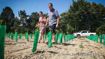 Entre Arras et Lens, des vignes en face du cimetière militaire allemand (vidéo) - L'Avenir de l'Artois