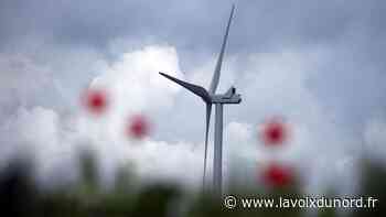 La communauté urbaine d'Arras devrait accepter un maximum de « dix à treize éoliennes » - La Voix du Nord