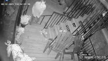 Intruder forced his way into Leslieville home; fled after woman 'screamed and yelled her lungs out'
