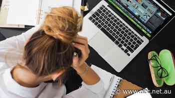 'Big and bold' support gone, replaced with disaster payments