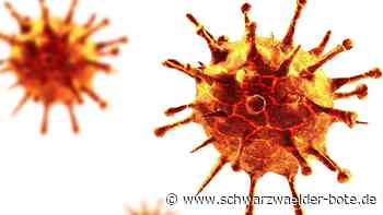 Corona-Infektionen in Calw - Reiserückkehrer treiben Zahlen hoch - Schwarzwälder Bote
