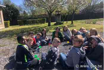 Leerlingen Daltonschool trekken terug naar school in de natuur - Gazet van Antwerpen