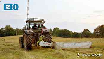Siegen: Warum Hundekot so gefährlich für Landwirtschaft ist - Westfalenpost
