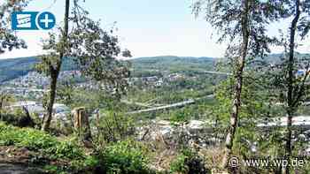 Siegen-Wittgenstein bekommt Leitbild für den Klimaschutz - Westfalenpost