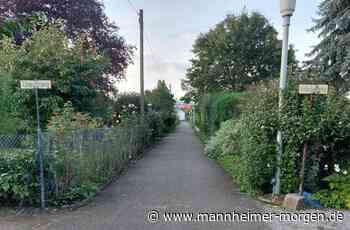 Wo die Hiergebliebenen in Mannheim Urlaub machen - Mannheim - Nachrichten und Informationen - Mannheimer Morgen