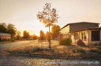 Spinelli-Fest gibt neue Einblicke ins Mannheimer Buga-Gelände - Mannheim - Nachrichten und Informationen - Mannheimer Morgen