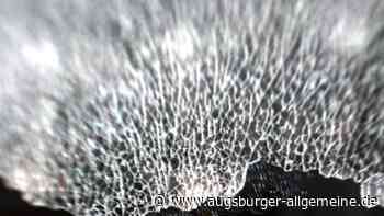 Unbekannte brechen in ein Vereinsheim in Augsburg ein - Augsburger Allgemeine