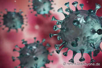 7-Tage-Inzidenz in Augsburg: 126,8 - News Augsburg, Allgäu und Ulm - TRENDYone - das Lifestylemagazin