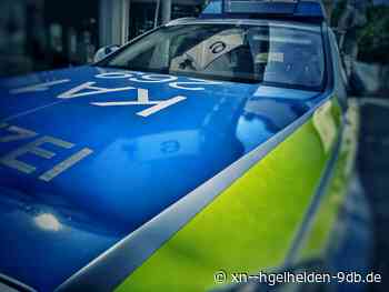 Bruchsal: Alkoholisierter Mann greift Diensthund an – Hügelhelden.de - Hügelhelden.de