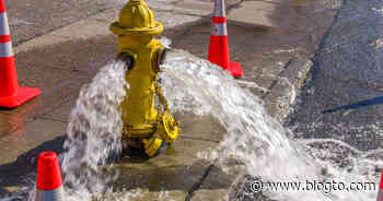 Toronto fire hydrant left running for days and nobody seemed to care - blogTO