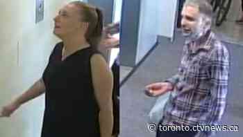 Police seeking two homicide suspects after senior punched in Toronto dies in hospital - CTV News Toronto