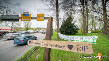 Gänstorbrücke oder Adenauerbrücke: Welche Brücke wird in Ulm und Neu-Ulm schneller gebaut? - SWP