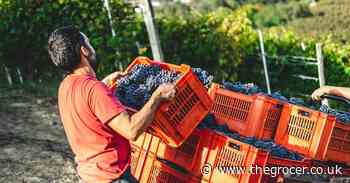 Why the British food sector is facing a labour crisis - and what we can do about it - The Grocer