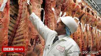 Food production in the UK at risk of moving overseas, warns industry - BBC News