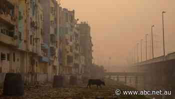 Last year's COVID-19 lockdowns brielfy improved air quality