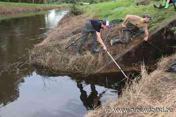 Kwaliteit Demerwater gevoelig beter: weer meer vis en recreatieverbod opgeheven
