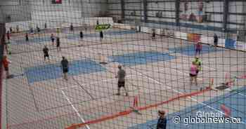 Pickleball community continues to grow in Saskatoon - Globalnews.ca