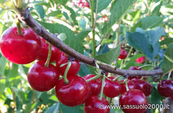 Territorio turistico unico Bologna-Modena - sassuolo2000.it - SASSUOLO NOTIZIE - SASSUOLO 2000