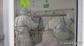 AGGIORNAMENTO COVID: 529 NUOVI CASI IN REGIONE, MODENA MAGLIA NERA - Tvqui