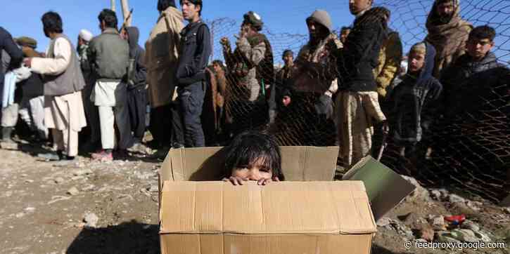 Bureaucratic red tape could leave thousands of Afghan refugees cut off from aid in the US