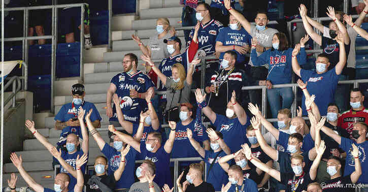 Adler Mannheim:  Gross sieht überall Verbesserungsbedarf