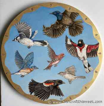 A small but mighty studio tour | Bancroft this Week - Bancroft This Week