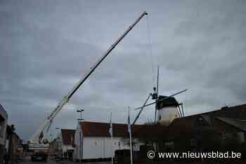 Binnenkort zullen Wervikse molens weer malen: “Een extra attractie”