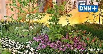 2022 kein "Frühling im Palais" im Großen Garten Dresden - Dresdner Neueste Nachrichten