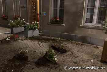 Vechtpartij met vernielingen