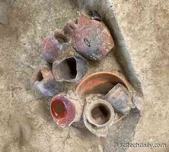 Archaeologists Find Evidence of Beer Drinking 9,000 Years Ago in Southern China