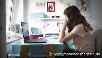 Bildung für Kinder: Kai Maaz vom Leibniz-Institut erklärt sieben moderne Erfolgsfaktoren für den Nachwuchs