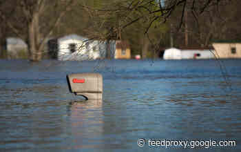 Floating Homes, Raised Houses: A Tale of Two Flood Mitigation Strategies