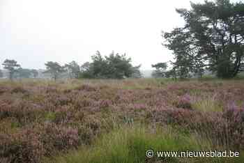 Essen stelt woonbos Wildert gerust: “Geen blanco cheque voor Nationaal park”