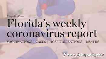 Florida adds 129,240 coronavirus cases, 2,345 deaths in past week - Tampa Bay Times