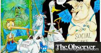 Pigs might fly: the Tories’ social care plan – cartoon
