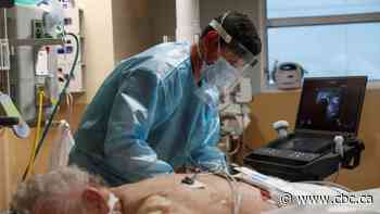 Florida grapples with its deadliest phase of the COVID-19 pandemic yet