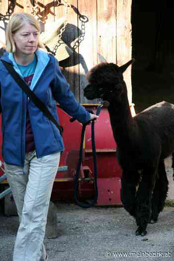 Wanderung mit Raxalpaka: Entspanntes Naturerlebnis mit viel Information - meinbezirk.at