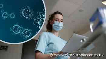 Coronavirus in Cornwall round-up: Saturday, September 4 - rise in deaths - Falmouth Packet